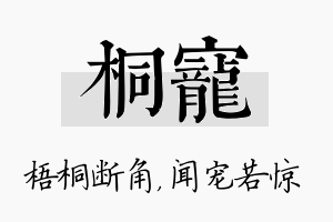 桐宠名字的寓意及含义