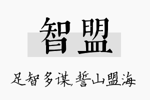 智盟名字的寓意及含义