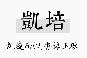 凯培名字的寓意及含义