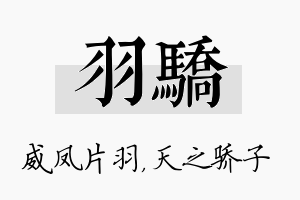 羽骄名字的寓意及含义