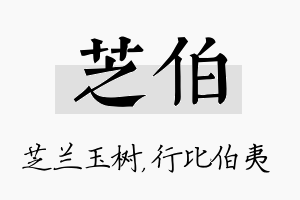 芝伯名字的寓意及含义