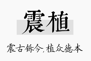 震植名字的寓意及含义