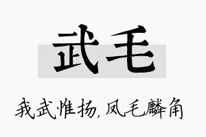 武毛名字的寓意及含义