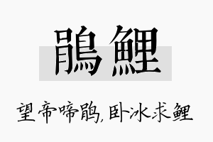 鹃鲤名字的寓意及含义