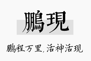 鹏现名字的寓意及含义