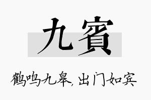 九宾名字的寓意及含义