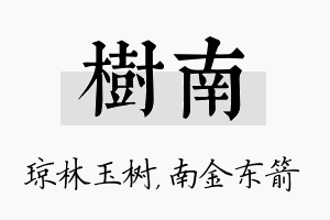 树南名字的寓意及含义