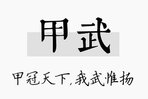 甲武名字的寓意及含义