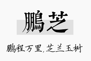 鹏芝名字的寓意及含义