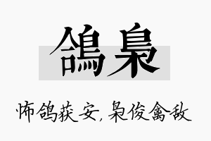 鸽枭名字的寓意及含义