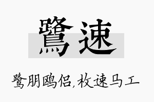 鹭速名字的寓意及含义