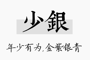 少银名字的寓意及含义