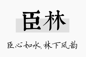 臣林名字的寓意及含义