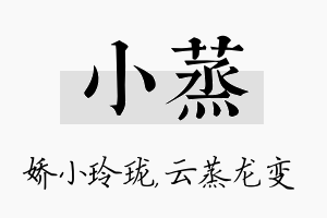 小蒸名字的寓意及含义