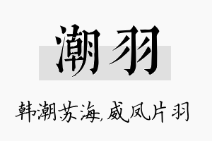 潮羽名字的寓意及含义