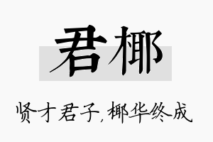 君椰名字的寓意及含义