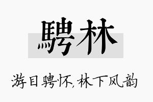 骋林名字的寓意及含义