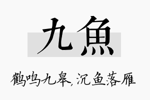 九鱼名字的寓意及含义