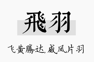 飞羽名字的寓意及含义