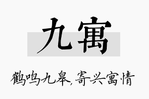 九寓名字的寓意及含义