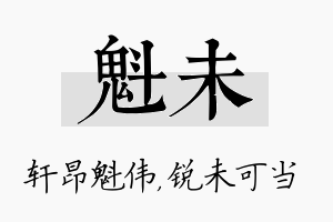 魁未名字的寓意及含义