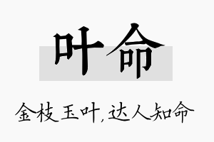 叶命名字的寓意及含义