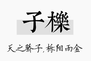 子栎名字的寓意及含义