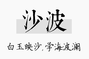 沙波名字的寓意及含义