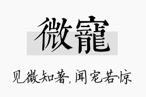 微宠名字的寓意及含义