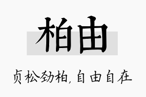 柏由名字的寓意及含义