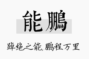 能鹏名字的寓意及含义