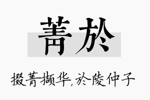 菁於名字的寓意及含义