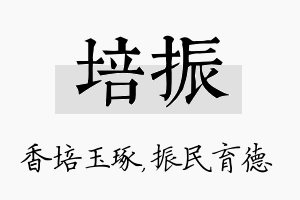 培振名字的寓意及含义