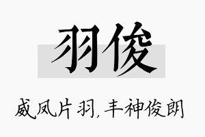 羽俊名字的寓意及含义