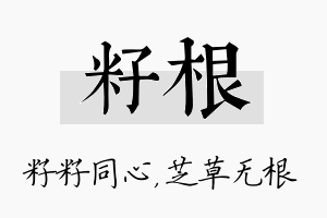 籽根名字的寓意及含义