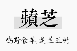 苹芝名字的寓意及含义