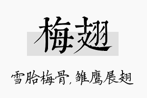 梅翅名字的寓意及含义