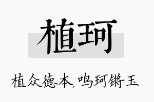 植珂名字的寓意及含义