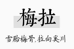 梅拉名字的寓意及含义