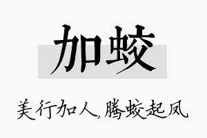 加蛟名字的寓意及含义