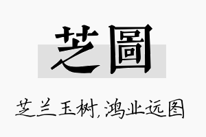 芝图名字的寓意及含义