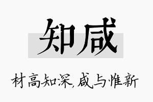 知咸名字的寓意及含义