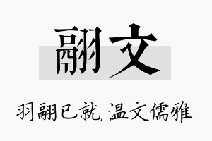 翮文名字的寓意及含义