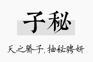 子秘名字的寓意及含义