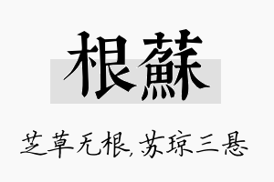 根苏名字的寓意及含义