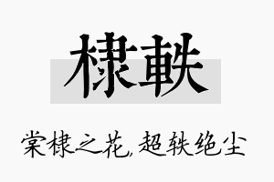 棣轶名字的寓意及含义