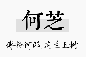 何芝名字的寓意及含义