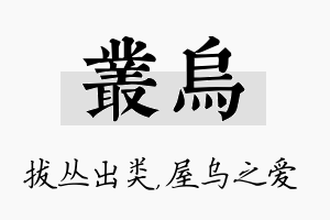 丛乌名字的寓意及含义