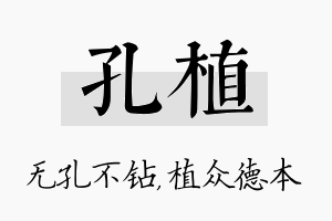 孔植名字的寓意及含义