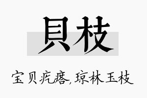 贝枝名字的寓意及含义